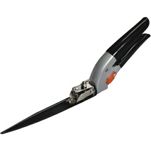 L{V@GS@Œ莮Ő@yiԁF2101z