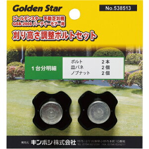 L{V@GS@GS߃{gZbgiGSB[2000pj@yiԁF538513z