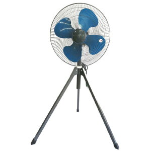 yʓrzO[NX@H@GCFF@yiԁF1130070133z