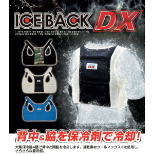 �O���[���N���X�@BR�|551�A�C�X�o�b�NDX�u���[�@�y�i�ԁF6300027788�z