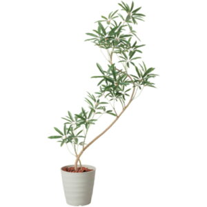 yʓrzO[NX@130cmVFtAKXeB|bg@IVL@yiԁF6300029314z