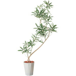 yʓrzO[NX@130cmVFtAKXeB|bg@PWL@yiԁF6300029315z