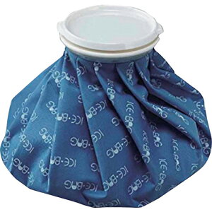 O[NX@nfBX̂@@3000cc@yiԁF6300029715z