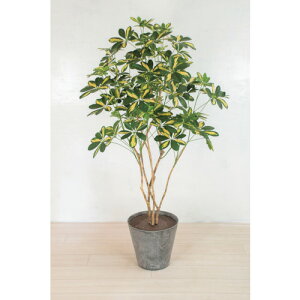 yʓrzO[NX@lH؁^lHϗtA@VFt@yiԁF6300033759z