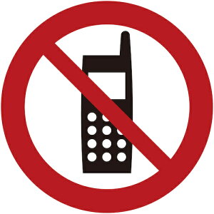 y[֑ΉzO[NX@JIS֎~WsNgTCXebJ[100@3Zbg@BAN|15S@gѓdbgp֎~@yiԁF6300042754z