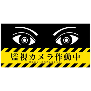 �O���[���N���X�@�h�ƕW���@CPS�|01�Q300×600���R�@�Ď��J�����쓮���@�y�i�ԁF6300046209�z