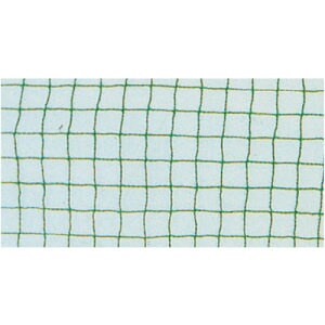 O[NX@O[lbg@5×10M@yiԁF1138200101z