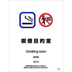 O[NX@iݔXebJ[@ǖʏʗp@4^Cv@SWS|09@iړI@yiԁF1146551609z