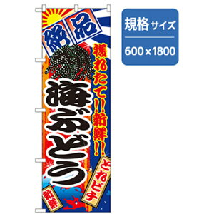 O[NX@aĤڂ@CԂǂ@yiԁF6300006808z