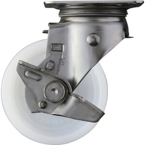 n}[LX^[@SUS@TChSPt@iC100mm@yiԁF313S-N100z