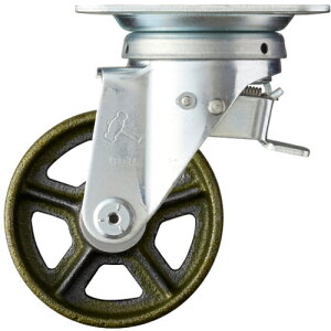 n}[LX^[@XCb`LX^[@Cmԗց@100mm@yiԁF400F0S-C100z