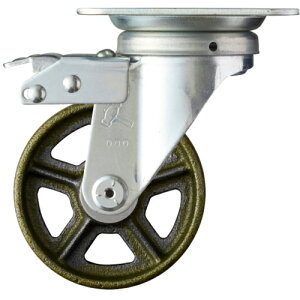 n}[LX^[@XCb`LX^[@Cmԗց@100mm@yiԁF400FAS-C100z