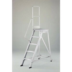 JHƁiHasegawaj@DAp@Б萠@DA|TS110i17178j@yiԁFDA-TS110z