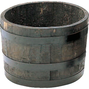 JHƁiHasegawaj@ECXL[Mv^[@o^50@i`@yiԁFGB-5033Nz