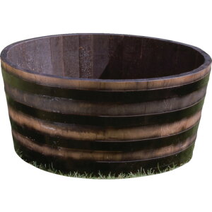 yʓrzJHƁiHasegawaj@ECXL[Mv^[@o^90@i`@yiԁFGB-9545Nz