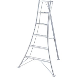 yʓrzJHƁiHasegawaj@O[Xebv@GSC^@6i@1D8mi17846j@yiԁFGSC-180Az