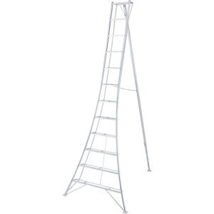 【別途送料あり】長谷川工業(Hasegawa) グリーンステップ GSC型 12段 3.6m(17852) 【品番:GSC-360A】