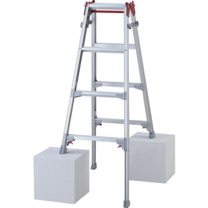 JHƁiHasegawaj@rLkA~͂pr@^b`o[@RYZ^@4ii10886j@yiԁFRYZ-12Dz