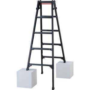 �y�ʓr��������z���J��H�ƁiHasegawa�j�@�n�V�S���p�L�k�r���i�u���b�N���[�x���jRYZB�|15a�i10910�j�@�y�i�ԁFRYZB-15A�z