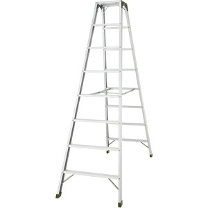 yʓrzJHƁiHasegawaj@A~VLpr@V2D4m@yiԁFSWH-24z