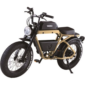 yʓrzJHƁiHasegawaj@hƓo^eK{@TRP|01@x[W@yiԁFYADEA TRP-01 (BE)z