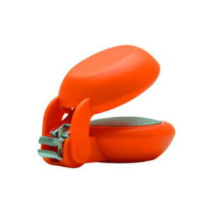 Jn@HARAC@NAILP(lCvX) @IW@yiԁFNAILP-ORz