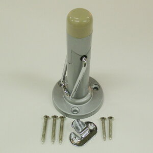 nCWbN@32009 NDp˓ 1@Vo[@yiԁF32009z