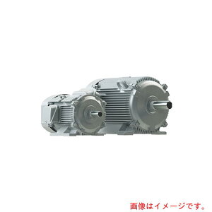 �����Y�@�V�X�e���@�O��IE3���[�^�[200V�@���^�@2�Ɂ@0�D75KW�@�y�i�ԁFVTFO-LK 2P 0.75KW�z
