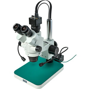 z[UiHOZANj@Ǒij^[pj@yiԁFL-KIT1261z