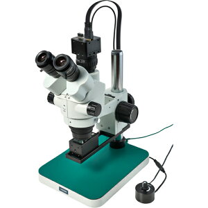 yʓrzz[UiHOZANj@Ǒij^[pj@yiԁFL-KIT1262z