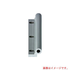 �C�O�X�iigus�j�@�h���C����W�V���O�����[��25�^�@�y�i�ԁFWS-25-2000�z