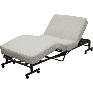 yʓrzACXI[}@IRIS@536259@܂肽݃RCdxbh@yiԁFOTB-CDNz