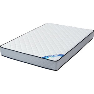 yʓrzACXI[}@IRIS@574976@|PbgRC}bgX@22cm@_u@zCg@yiԁFPMTS22N-Dz