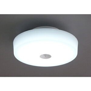 アイリスオーヤマ IRIS 249707 小型シーリングライト メタルサーキットシリーズ 2000lm 人感センサー付 昼光色 【品番:SCL20DMSMCHL】