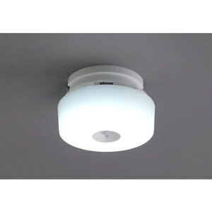 アイリスオーヤマ IRIS 249697 小型シーリングライト メタルサーキットシリーズ 600lm 人感センサー付 昼光色 【品番:SCL6DMS-MCHL】