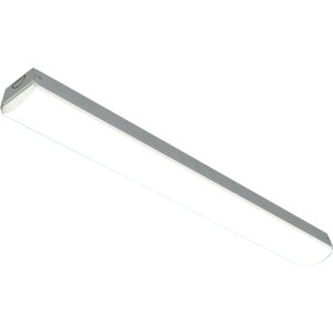 アイリスオーヤマ IRIS 41007809 ベースライト トラフ型 20形 W80 800lm 昼白色 (5000) 非調光 【品番:LX3-170-10N-TR20】