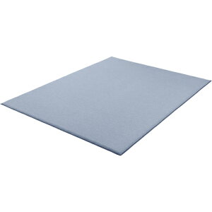 ACXI[}@IRIS@106398@ENbVO@ڐG⊴@1850×2400@u[@yiԁFACR2C-1824-Az