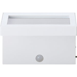 ACXI[}@IRIS@108062@drLEDZT[Cg@plEH[^Cv@yiԁFBSL-BMSPz