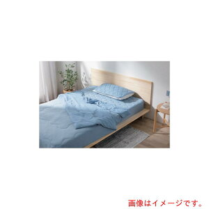 ACXI[}@IRIS@104033@⊴~pbh@Z~_u@u[@yiԁFBSP-NS3-SD-Az