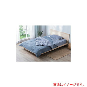 ACXI[}@IRIS@104063@⊴|zc@VO@u[@yiԁFKKF-NPES3-S-Az