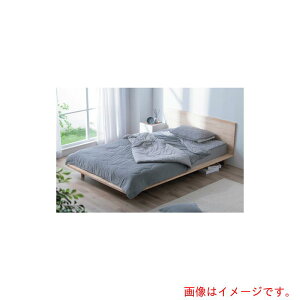 ACXI[}@IRIS@104064@⊴|zc@VO@O[@yiԁFKKF-NPES3-S-Hz