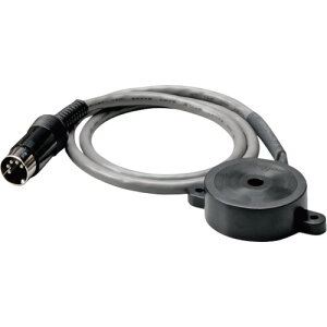 CV_iISHIDAj@剹ʃuU[@IW@yiԁF000079113907z