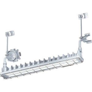 岩崎電気(EYE) 粉じん防爆形LED照明器具1灯用ブラケット形 【品番:EDCL3021SA9-22】