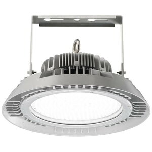 【別途送料あり】岩崎電気(EYE) LED高天井灯 耐油形 250W 広角 【品番:EHWP25023W/NSAN9】