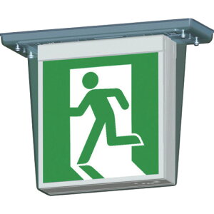 岩崎電気(EYE) LED誘導灯 天井直付C級 防湿形 片面 【品番:EMSJR100C】