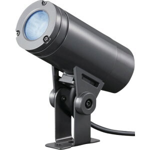 岩崎電気(EYE) LEDスポット 10クラス 中角 アーム 昼光色 【品番:ESP01002M/DSAN8/DG】