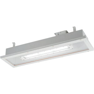 【別途送料あり】岩崎電気(EYE) 防爆形CR用LED照明器具埋込形32W2灯用 【品番:EXICL7041ASA9D-22】