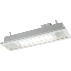 【別途送料あり】岩崎電気(EYE) 防爆形CR用LED照明器具埋込形32W4灯用 【品番:EXICL7081ASA9D-22】