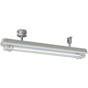 岩崎電気(EYE) 防爆形LED照明器具 【品番:EXILF1421BSA9U1-22】