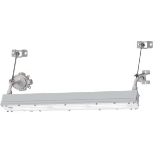 岩崎電気(EYE) 安全増防爆形LED照明器具2灯用ブラケット形 【品番:EYICL3041SA9F-22】